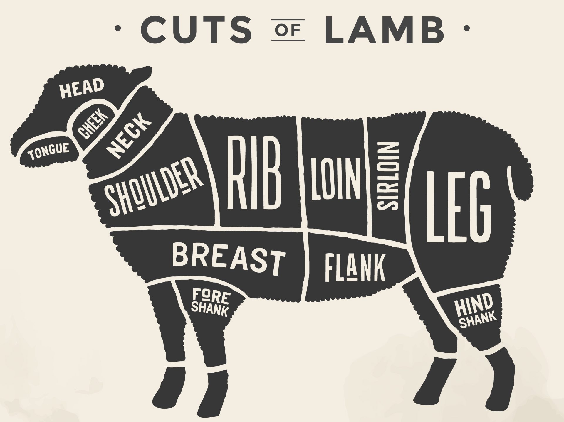 Cut Of Beef Set Poster Butcher Diagram And Scheme Lamb Beech Ridge